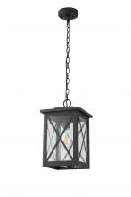  LIT73132BK-CL - 13" Outdoor Chain Hung Pendant in Black Finish with clear glass, with 3Ft chain