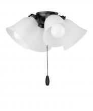  FKT210FTBK - Fan Light Kits-Ceiling Fan Light Kit
