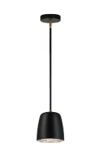  C73701BK - Luca Black Pendant