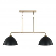  852021AB - 2-Light Linear Chandelier in Aged Brass and Black