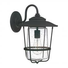  9602BK - 1 Light Outdoor Wall Lantern