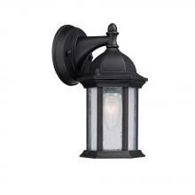  9831BK - 1 Light Outdoor Wall Lantern