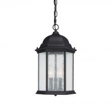  9836BK - 3 Light Outdoor Hanging Lantern