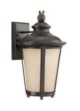  88241EN3-780 - Cape May traditional 1-light LED outdoor exterior medium wall lantern sconce in burled iron grey fin