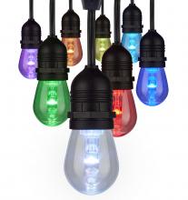  S11290 - 24Ft; 12-S14 Lamp; LED String Light; Starfish IOT; RGBTW