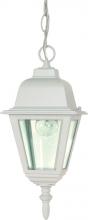  60/487 - Briton - 1 Light 10" Hanging Lantern with Clear Glass - White Finish