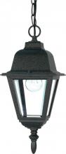  60/489 - Briton - 1 Light 10" Hanging Lantern with Clear Glass - Textured Black Finish