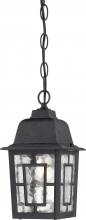  60/4933 - Banyan - 1 Light 11" Hanging Lantern with Clear Water Glass - Textured Black Finish