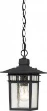  60/4956 - Cove Neck - 1 Light 12" Hanging Lantern with Clear Seed Glass - Textured Black Finish
