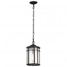  60/5759 - Raiden Collection Outdoor 14.5 inch Hanging Light; Matte Black Finish with Clear Seedy Glass