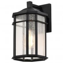  60/5760 - Raiden Collection Outdoor 14 inch Wall Light; Matte Black Finish with Clear Seedy Glass