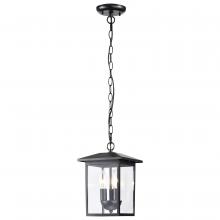  60/5933 - Jamesport Collection Outdoor 11 inch Hanging Light; Matte Black with Clear Glass