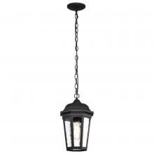  60/5944 - East River Collection Outdoor 14.5 inch Hanging Light; Matte Black Finish with Clear Water Glass
