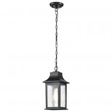  60/5958 - Stillwell Collection Outdoor 14 inch Hanging Light; Matte Black Finish with Clear Water Glass