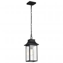  60/5996 - Austen Collection Outdoor 17 inch Hanging Light; Matte Black Finish with Clear Water Glass