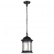  60/6117 - Hopkins Collection Outdoor 12 inch Hanging Lantern; Matte Black Finish with Clear Glass