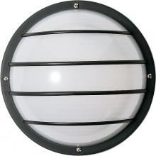  SF77/859 - 1 Light - 10" Round Cage Polysynthetic Body and Lens - Black Finish