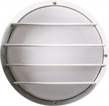  SF77/861 - 1 Light - 10" Round Cage Polysynthetic Body and Lens - White Finish