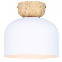  IFM1152A09WHW - CALEB, MWH + Faux Wood Color, 1 Lt Flush Mount, 60W Type A, 9" W x 8.5" H, Easy Connect Inc.