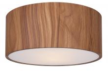  IFM318A13BKW - Dexter, MBK + Faux Wood Color, 2 Lt Flushmount, 60W Type A, 13" W x 5.25" H, Easy Connect In
