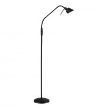  FL4048-BLK - FLOOR LAMP