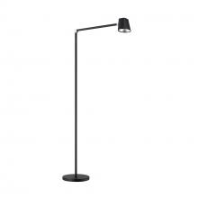  FL6101-BLK - LED FLOOR LAMP