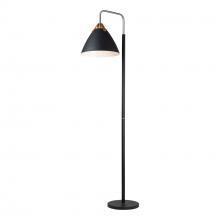  SC13327BK - Tote Collection Floor Lamp, Black & Brass