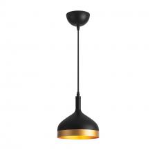  SC13351BK - Dash Collection 1-Light Pendant, Black & Gold