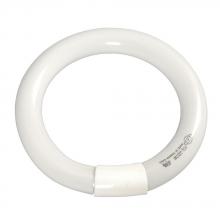  FCL-22CW - Fluorescent Circular Tube