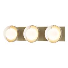  201378-SKT-86-02-GG0711 - Brooklyn 3-Light Straight Double Shade Bath Sconce