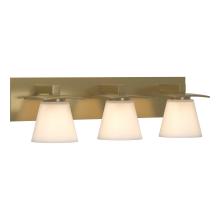  206603-SKT-86-GG0242 - Wren 3 Light Sconce