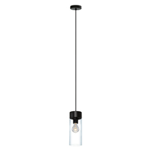  202127A - Montey 1-Light Pendant