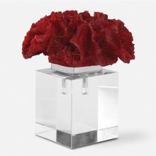  18601 - Uttermost Red Coral Cluster