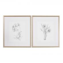  33649 - Uttermost Botanical Sketches Framed Prints S/2