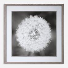  33711 - Uttermost Dandelion Seedhead Framed Print